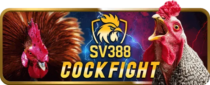 Đội ngũ 168kbet link vào làm việc chuyên nghiệp